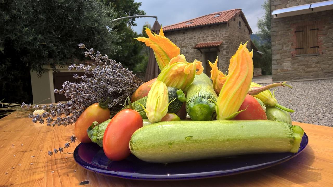 Agripodere Il Falco Pontremoli Ngoại thất bức ảnh